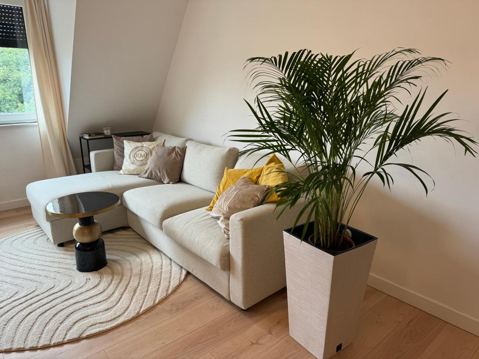 Moon Apartment Torun Exterior photo